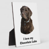 Plaque Photo Chocolate Labrador dog photo (Côté)