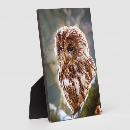 Plaque Photo Chouette (Côté)