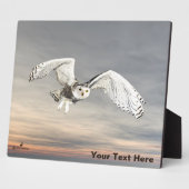 Plaque Photo Chouette des neiges (Côté)