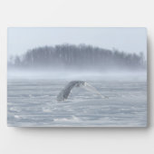 Plaque Photo Chouette Neige Volant En Hiver (Devant)