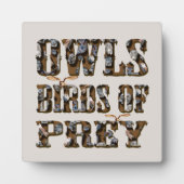 Plaque Photo Chouettes Oiseaux De Prey, (Devant)