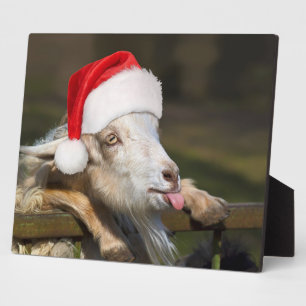 Plaque Photo Christmas Goat