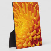 Plaque Photo Chrysanthème jaune et orange (Côté)
