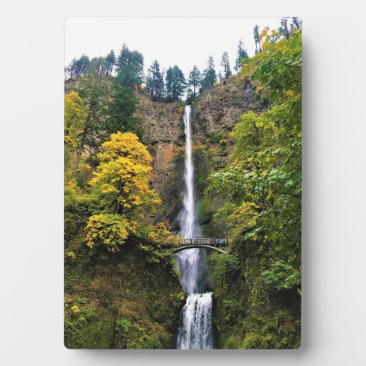 Plaque Photo Chutes Multnomah, Columbia River Gorge, Oregon (Devant)