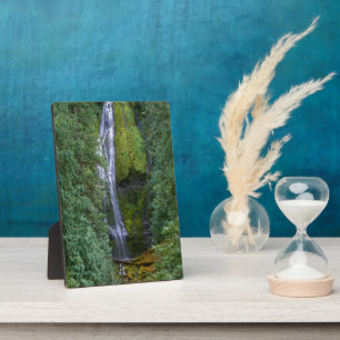 Plaque Photo Chutes Proxy inférieures   Forêt nationale de Will