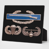 Plaque Photo CIB Air Assault (Côté)