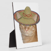 Plaque Photo Cinco de Gato (Côté)