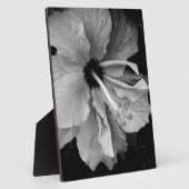 Plaque Photo Circulaire Hibiscus (Côté)