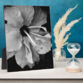 Plaque Photo Circulaire Hibiscus (Côté)