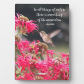 Plaque Photo Citation philosophique Aristote de colibri (Devant)