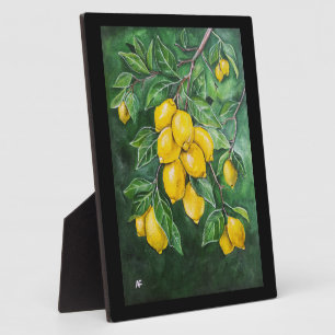 Plaque Photo Citrons dorés par un jour d'hiver par Alfred Fox