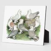 Plaque Photo Classic Frill (Côté)