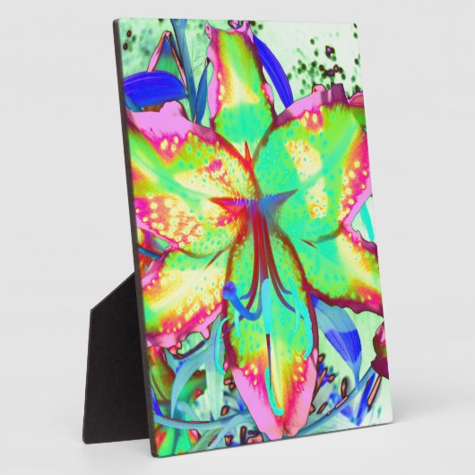 Plaque Photo Clé West Lily (Côté)