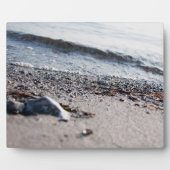 Plaque Photo Close up (Devant)