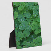 Plaque Photo Clover vert irlandais (Côté)