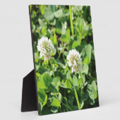 Plaque Photo Clovers et fleurs (Côté)