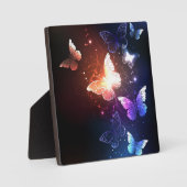 Plaque Photo Clowing Night Butterflies (Recto)