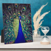 Plaque Photo Cobalt Blue Peacock (Côté)