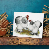 Plaque Photo Cochin Columbian Bantams (Côté)
