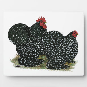 Plaque Photo Cochin Mottled