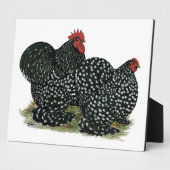 Plaque Photo Cochin Mottled (Côté)