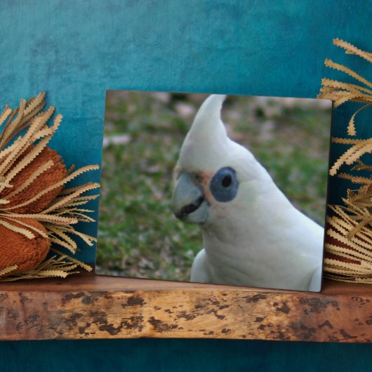 Plaque Photo Cockatoo bleu (Côté)