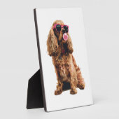 Plaque Photo Cocker Spaniel (Côté)