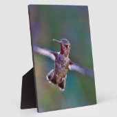 Plaque Photo Colibri (Côté)
