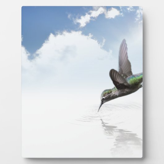 Plaque Photo Colibri (Devant)