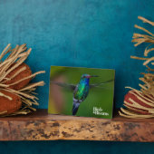 Plaque Photo Colibri flottant (Côté)