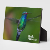 Plaque Photo Colibri flottant (Côté)