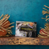 Plaque Photo Colibri posé dans l'eau (Côté)