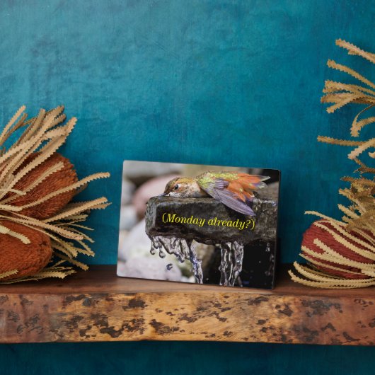 Plaque Photo Colibri posé dans l'eau (Côté)