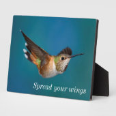 Plaque Photo Colibri roux (Côté)