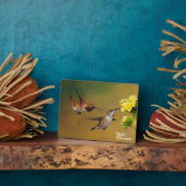 Plaque Photo Colibri roux flottant (Côté)