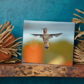 Plaque Photo Colibri survolant (Côté)