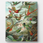 Plaque Photo Colibri vintage (Devant)