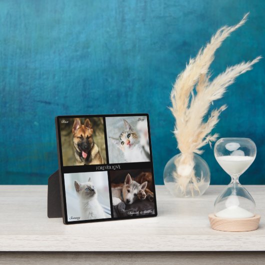 Plaque Photo Collage de 4 photos pour animaux de compagnie, cad (Insitu)