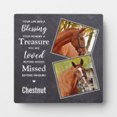 Plaque Photo Collage de photos commémoratives du cheval (Devant)