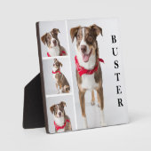 Plaque Photo Collage de photos de animaux moderne simple (Recto)