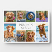 Plaque Photo Collage de photos de chien (Devant)
