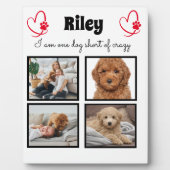 Plaque Photo Collage photo 4 chien moderne (Devant)
