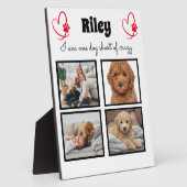 Plaque Photo Collage photo 4 chien moderne (Côté)