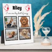 Plaque Photo Collage photo 4 chien moderne (Côté)