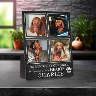 Plaque Photo Collage photo Animal de compagnie rustique à jam