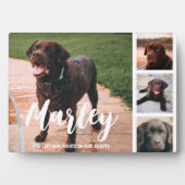 Plaque Photo Collage photo Customisé de perte d'animal de compa (Devant)