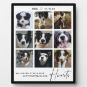 Plaque Photo Collage photo de souvenir d'animal de compagnie po (Devant)