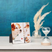 Plaque Photo Collage photo géométrique simple moderne Mémorial  (Insitu)