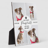 Plaque Photo Collage photo moderne 4 | Chien/Chat Perdu d'Anima (Côté)