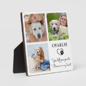 Plaque Photo Collage photo moderne Custom Pet Dog Memorial (Recto)